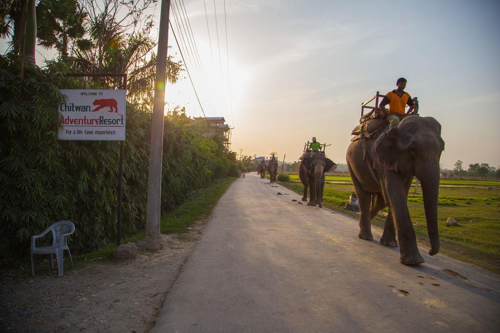 סאורהה Chitwan Adventure Resort מראה חיצוני תמונה