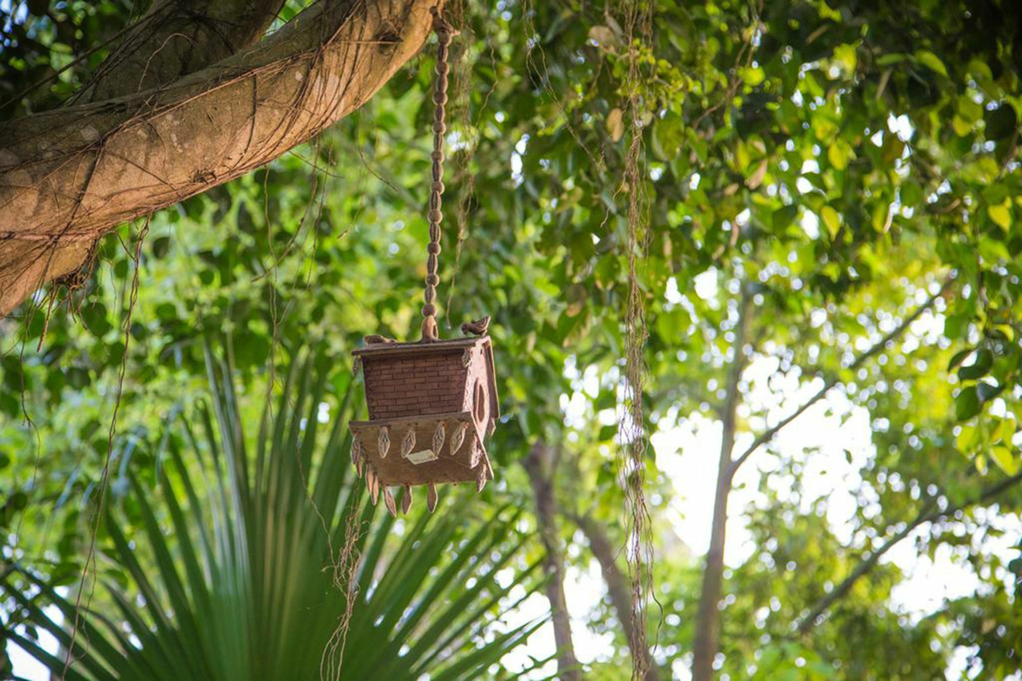 סאורהה Chitwan Adventure Resort מראה חיצוני תמונה